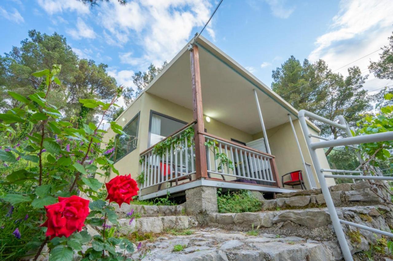 Among The Trees Villa Shiroka Exterior photo