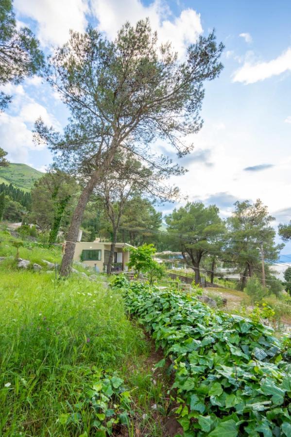 Among The Trees Villa Shiroka Exterior photo