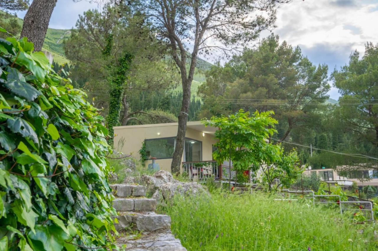 Among The Trees Villa Shiroka Exterior photo